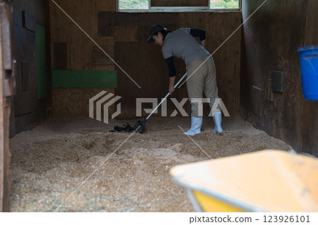 female, lady, woman 123926101