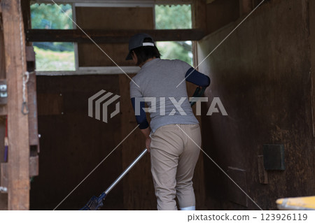 horse, female, females 123926119