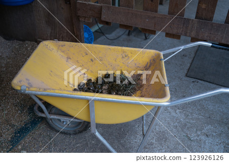 馬 馬兒 打掃 123926126