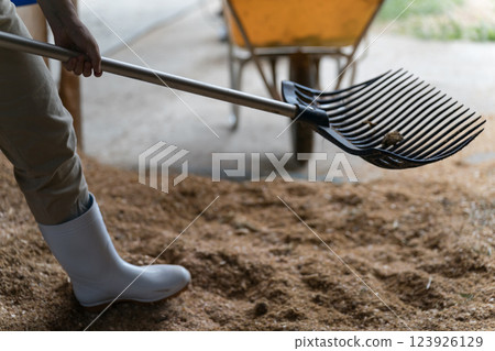 馬 馬兒 女生 123926129