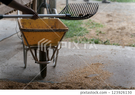 馬 馬兒 女生 123926130