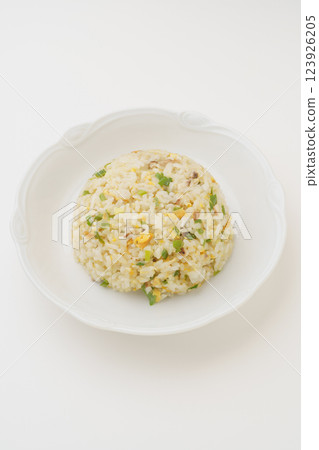 Simple fried rice (ingredients are egg, green onion, and shiitake mushroom) 123926205