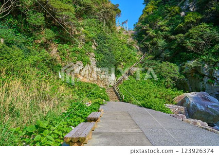 從高知縣足折岬白山洞海濱長廊仰望白山神社（白山本宮）的鳥居 123926374