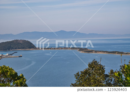 Plum blossoms shining against the blue sky Onokoro Island, Iwashimizu Park 123926403