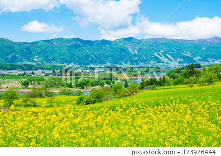 飯山市/菜花公園（春季） 123926444