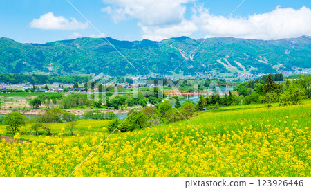 Iiyama City Nanohana Park (Spring) 123926446