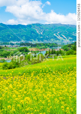 飯山市/菜花公園（春季） 123926458