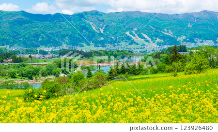 Iiyama City Nanohana Park (Spring) 123926480