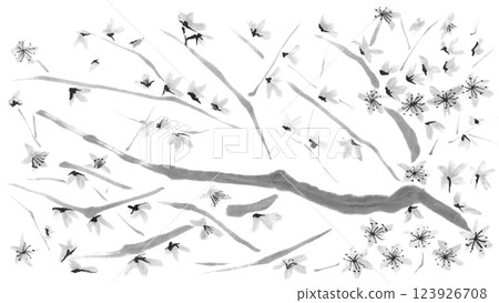 盛開的櫻花的單色插圖 123926708