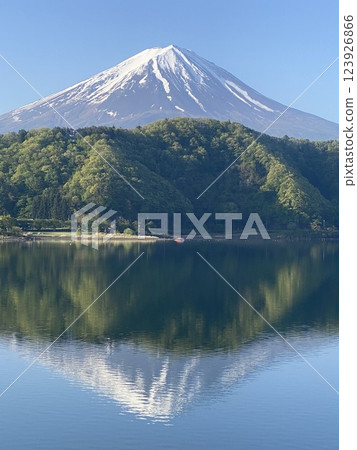 The fresh greenery of Ashiwadayama in early summer and the inverted Mt. Fuji reflected in the snow on the surface of Lake Okukawaguchi 123926866