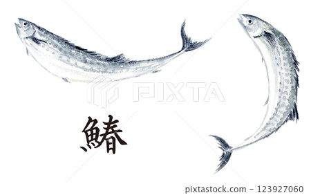 馬鮫魚水墨畫套裝 123927060