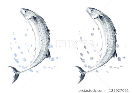水墨畫中的跳躍的西班牙鯖魚 123927061