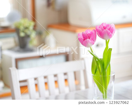 天然室內鬱金香 123927062