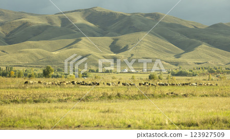 the wilderness and steppe landscape in Issyk-Kul lake Region, a Jeti-Oguz and Tong district, Kyrgyzstan in Central Asia 123927509