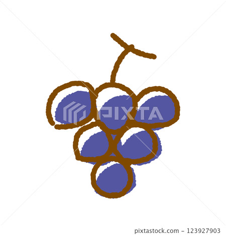 Grape vector illustration 123927903