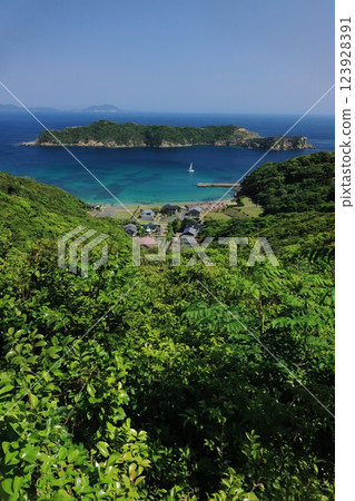 Fresh greenery in Kashiragashima village 123928391