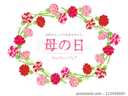 Cute Mother's Day Carnation Bouquet Title Frame Material 123930085