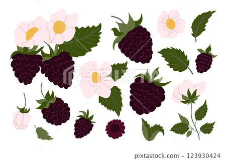 Colorful illustration of blackberries and wildflowers showcasing nature s beauty in a vibrant design Colorful illustration of blackberries and wildflowers showcasing nature s beauty in a vibrant design 123930424