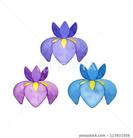 可愛又簡單的鳶尾花水彩插圖 123931056