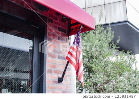 Building with the Stars and Stripes Building with the Stars and Stripes 123931487