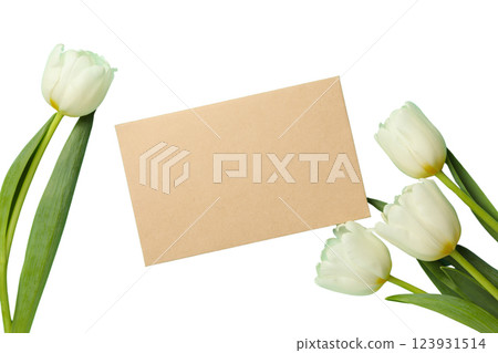 PNG, March 8. Greeting card, with space for text, isolated on white background. 123931514
