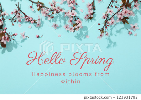 Hello spring, blossoming cherry branches on a blue background, top view, with text 123931792