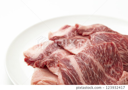 Beef on a white plate, white background Beef on a white plate, white background 123932417