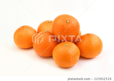 柑橘（貝尼公主） 123932519