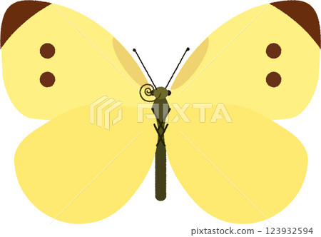 Colias 的插圖 Colias 的插圖 123932594