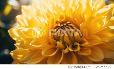 Yellow flower in sunlight. Generative AI 123933649