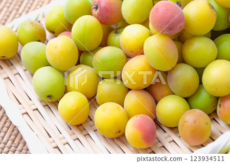 Ripe plum fruit 123934511