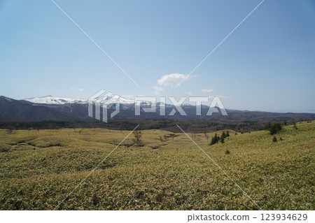 從知床五湖眺望白雪皚皚的知床山脈和蔚藍的天空 123934629