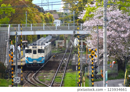 JR四國Kiha40系列本地火車 123934661