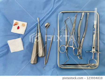 Various dental instrument are neatly placed on a blue surgical drape, alongside extracted teeth and gauze, indicating preparation for a dental procedure. Top view 123934810