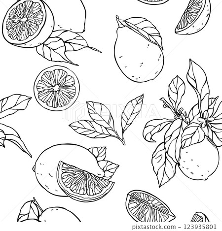 Lemon and leaf pattern. For cards, posters, textiles, etc. with hand drawn elements. 123935801