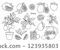 Set of linear illustrations with lemons, lemonade, lemon tree. Vector hand drawn illustration. 123935803