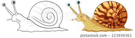 Cute Snail Vector Illustration and Outline Drawing Cute Snail Vector Illustration and Outline Drawing 123936361