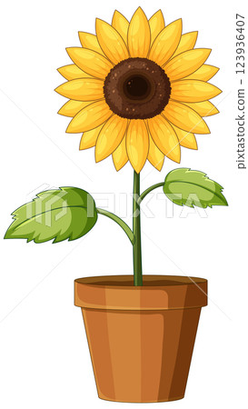 Sunflower in Terracotta Pot Illustration 123936407