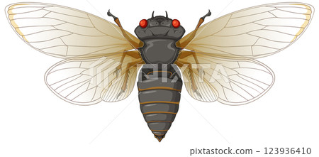 Detailed Cicada Vector Illustration Detailed Cicada Vector Illustration 123936410