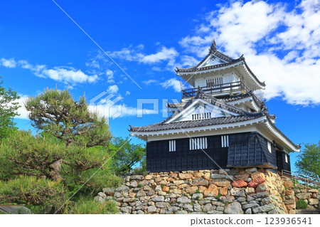 [靜岡]濱松城，綠意盎然 123936541