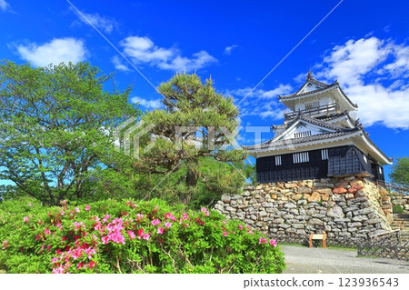 [Shizuoka] Hamamatsu Castle with fresh greenery 123936543