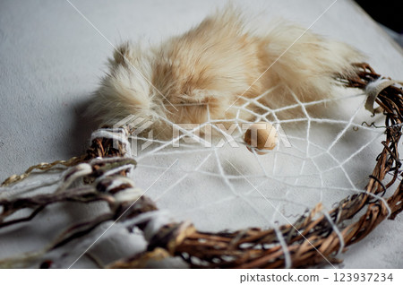 Shamanic dream catcher with natural fur, willow base and woolen threads. Sleep-preserving amulet. 123937234