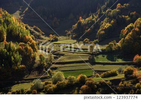 Footage of a forest full of trees decorated with autumn colors. Footage of a forest full of trees decorated with autumn colors. 123937774