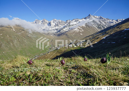 Image of Kackar mountain ranges and plateaus in Rize province. 123937777