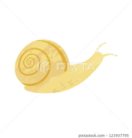 Vector illustration of a snail drawn with watercolors or crayons 123937795