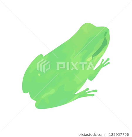 Vector illustration of a frog drawn with watercolors or crayons Vector illustration of a frog drawn with watercolors or crayons 123937796