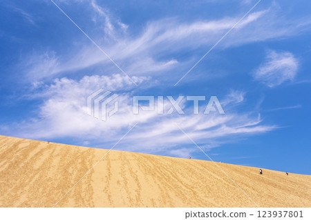 Tottori sand dunes Tottori sand dunes 123937801