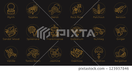 Fragrance icon. Aromatic herb. Musk note perfume. Amber smell. Aroma base structure. Floral line sign of bergamot. Fruity or spicy scent. Vanilla flower. Woody oil. Vector aromatherapy pictograms set 123937846