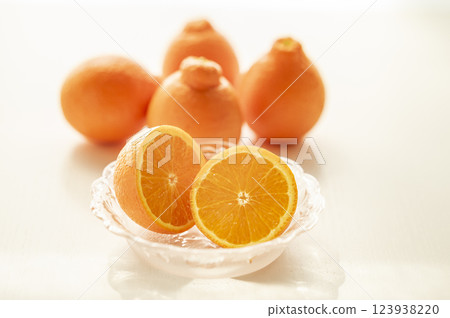 Born in Florida Mineo La Orange 123938220