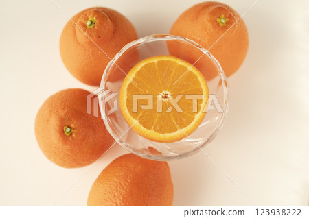 Born in Florida Mineo La Orange 123938222